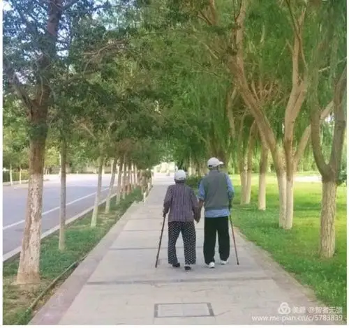 一对老人牵手行,故乡小路寄深情.谈起儿时乐趣事,笑得鸟儿也欢鸣.