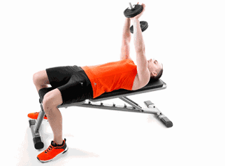 7招拥有最霸气的鲨鱼线,给姑娘致命一击|前锯肌|杠铃|腹肌|跪姿_网易