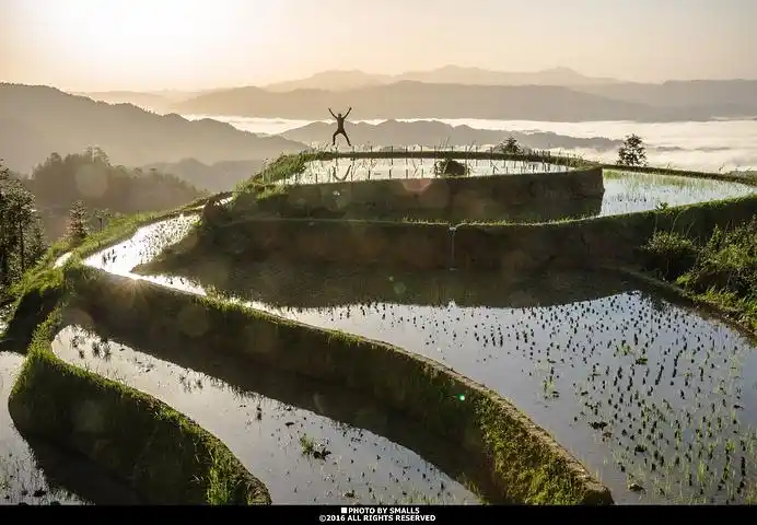 是后面才去的,如果云海低,大部分人都会直接选择在八卦冲拍摄日出