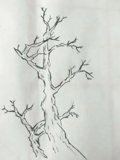 《树的画法》作业一2019.2.23