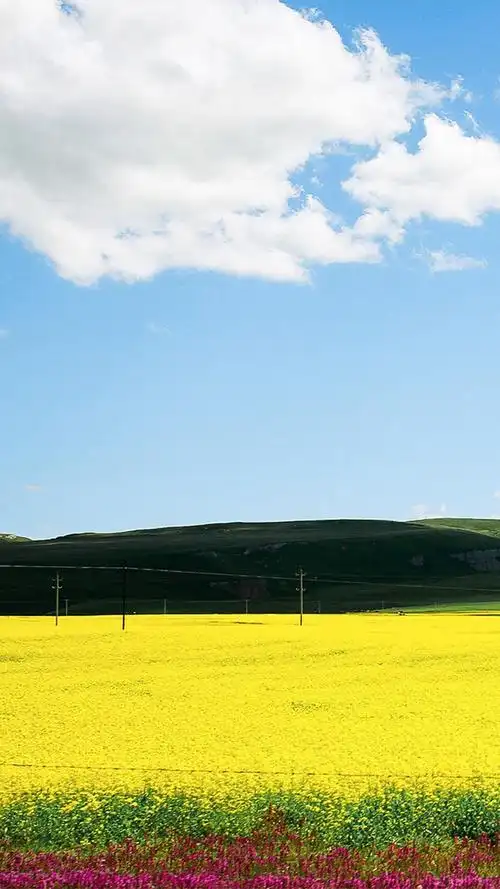 小清新自然风景