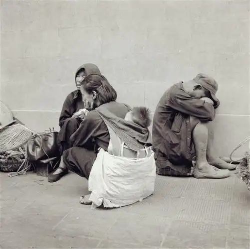 老照片,二十世纪五十年代中期普通人的生活情景