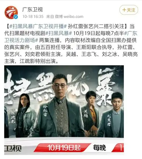 今年最爆剧扫黑风暴二轮上星广东山东天津河北深圳东南六台联播