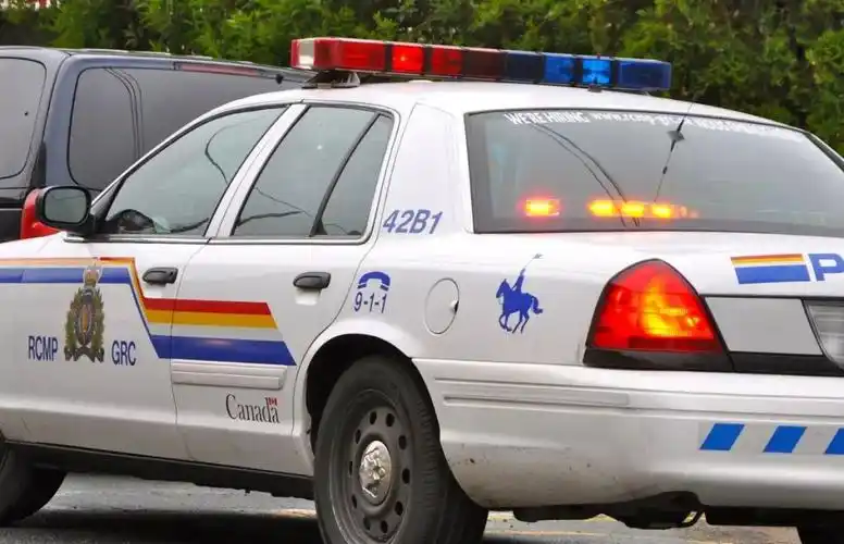 加拿大警察要开始送餐了还有什么业务是他们不能开展的