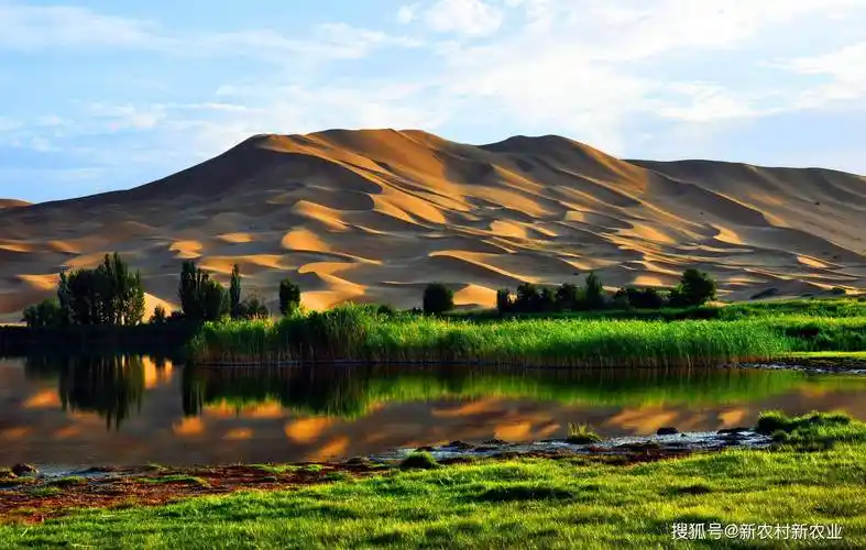 阿拉善加快发展现代旅游业,做大做强"苍天般的阿拉善"全域旅游文化