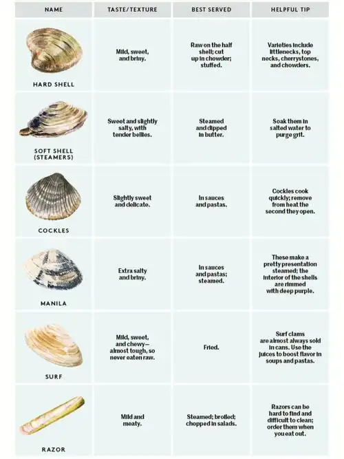 告别脸盲北美常见贝壳类海鲜烹饪选购二