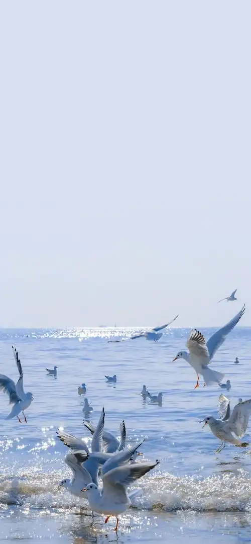 高清风景治愈系手机壁纸