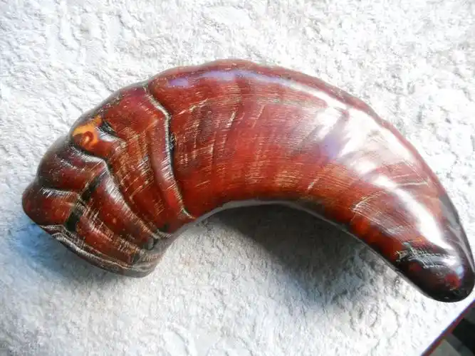 你家的犀牛角卖掉了没