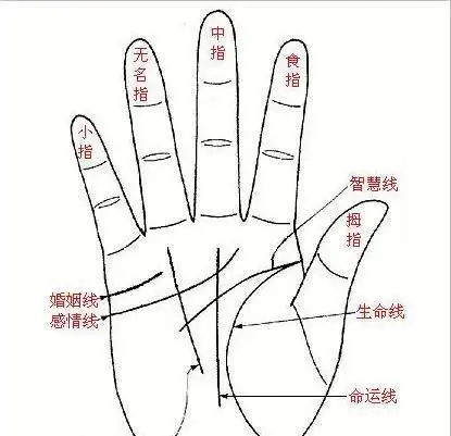如何看手指长度知道一个人的性格