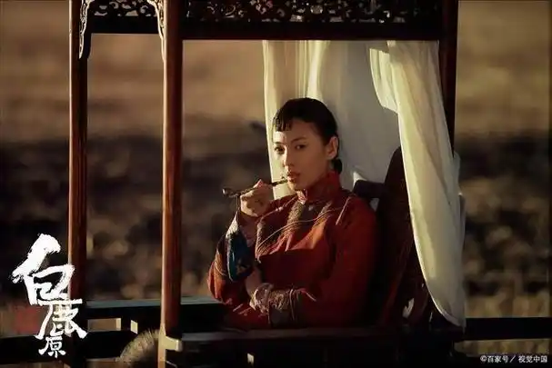 《白鹿原》:一部波澜壮阔的历史画卷与人性探索