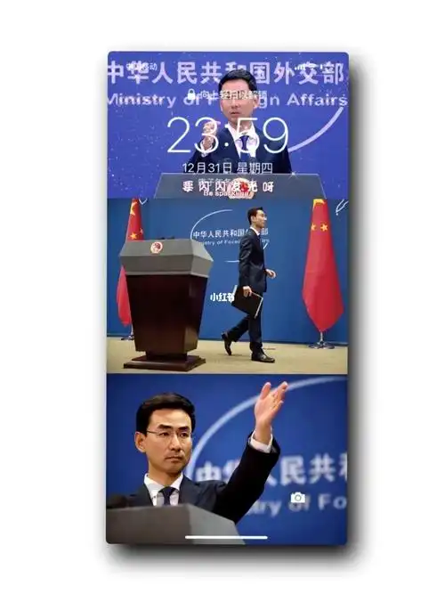 壁纸分享最美最帅的外交天团