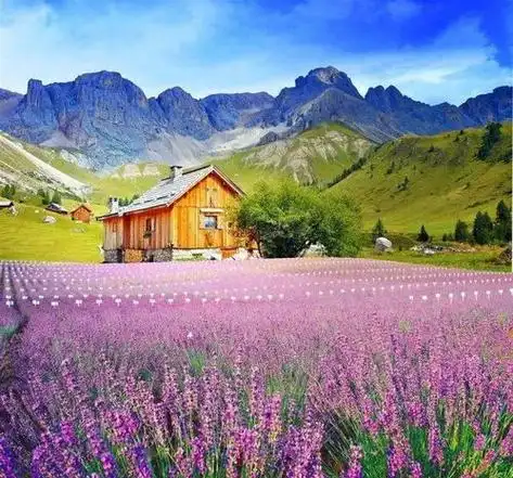 头像图片风景 好运