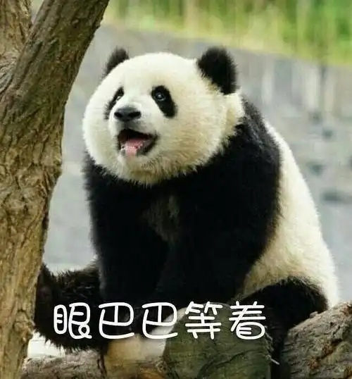 浠墨的相册-大熊猫表情包