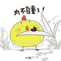 内涵段子抖音头像_微信头像图片大全