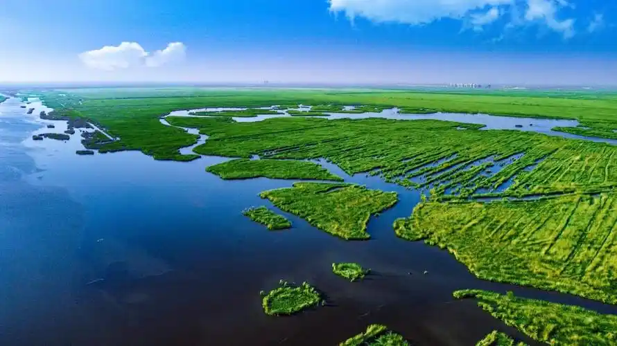 2023天津宁河七里海半程马拉松启动