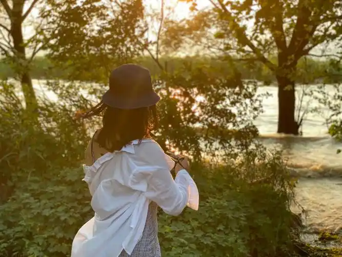 背影小清新森林