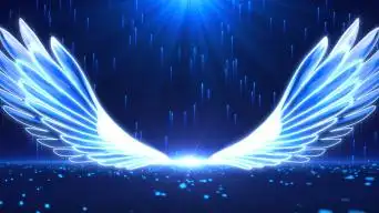 翅膀动态背景视频素材下载, 翅膀动态背景ae模板下载_光厂(vj师网)