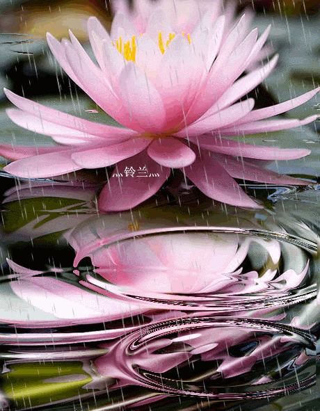 460_591竖版 竖屏gif 动态图 动图