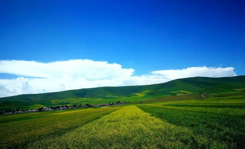 祁连山大草原-----中国的瑞士