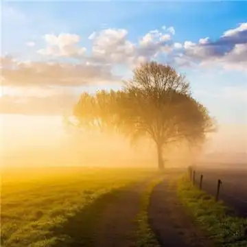 成熟男人微信头像风景大全喜怒形于色是需要资本的