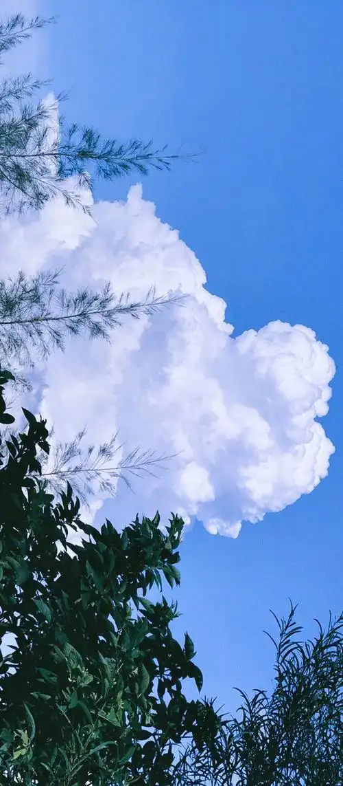 天空是蔚蓝色窗外有千纸鹤