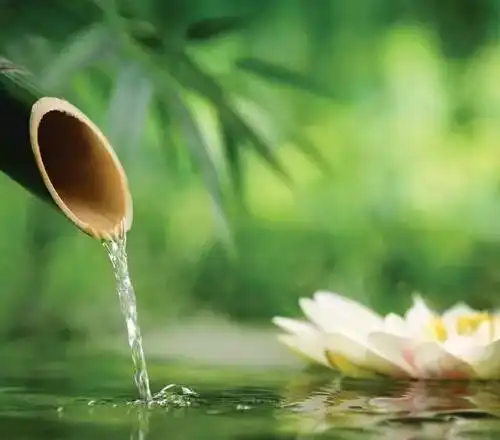 《舒兰画晴微刊》是最清新文艺的公众号 平台内容:唯美   养生   禅意