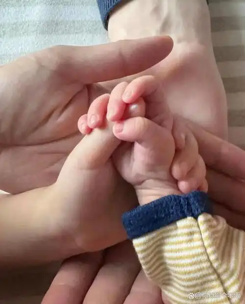 官宣二胎后她狠狠打脸豪门前夫