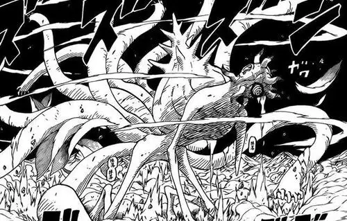 尾兽分配是否平衡木叶村只留了一只却笑到最后