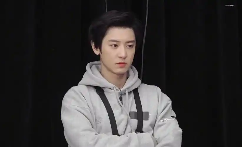 安利exo成员朴灿烈