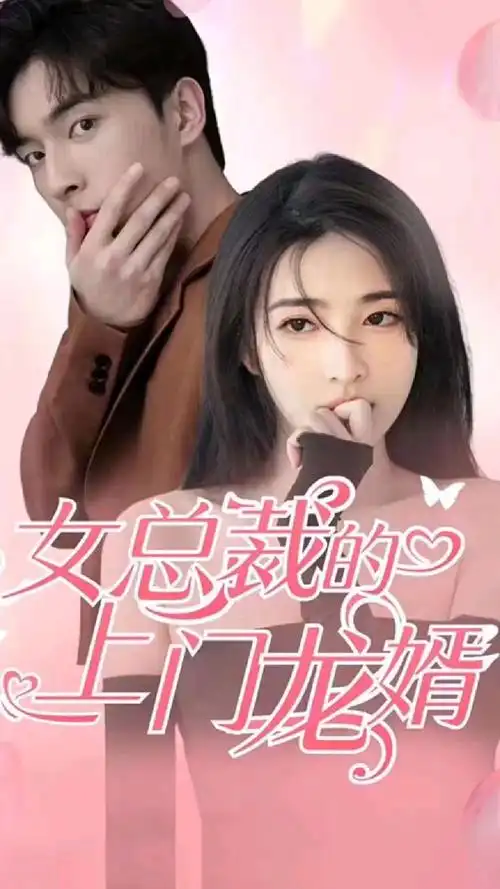 女总裁的上门女婿