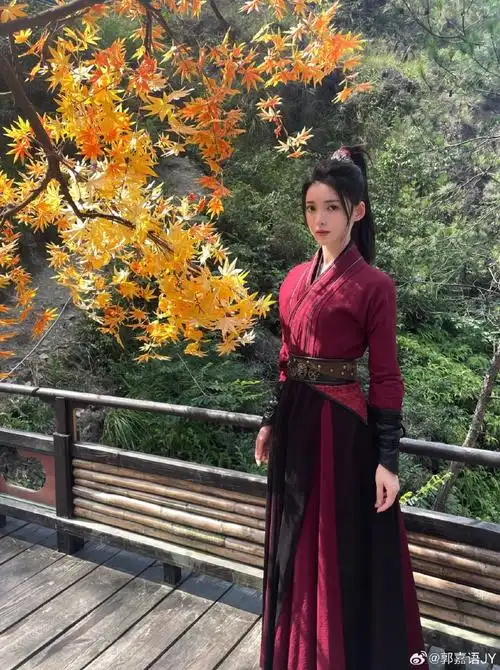 网剧难寻##难寻收官