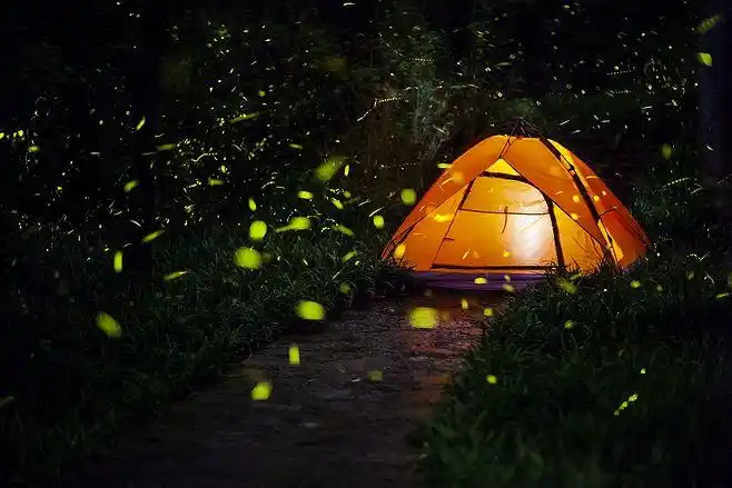 夏日流萤by开心修罗on500px