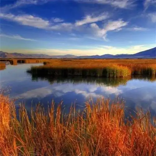 高清有氛围感唯美适合秋天的微信头像_风景微信头像_头像屋