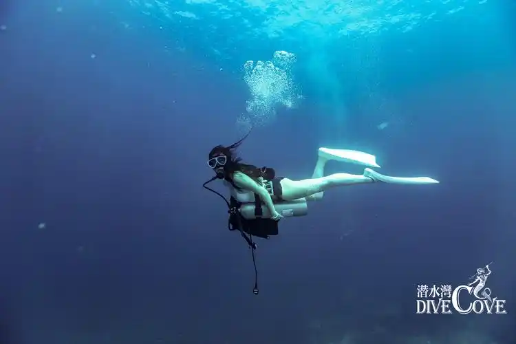 你潜水的意义是什么?那意义的意义又是什么? - 简书