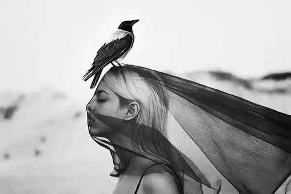 意境唯美图片,小清新唯美图片,复古唯美图片,治愈系唯美图片,黑白唯美