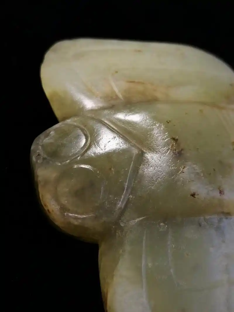 红山文化玉鸮 玉鸮 收藏介绍: 此藏品为红山文化时期玉器.