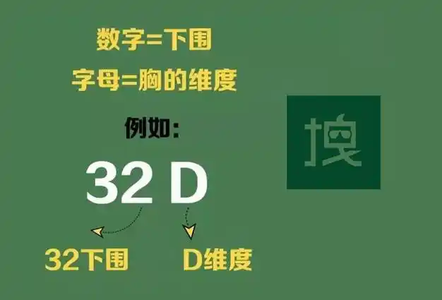 女生32d和36d到底哪个大