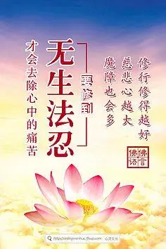 佛言佛语专辑二-花瓣网|陪你做生活的设计师 | 韵,观音,菩萨,唯美,花