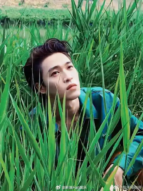 肖战 | 王俊凯 | 王鹤棣 | 王一博王源 | 吴磊 | 刘宇 | 宋亚轩林彦俊