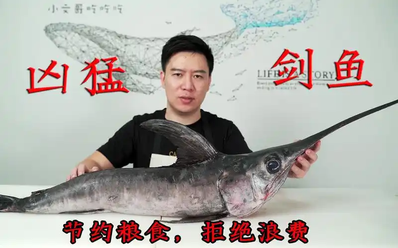 试吃非常凶猛的剑鱼,嘴巴宛如长剑,能刺穿50厘米厚的船板_哔哩哔哩