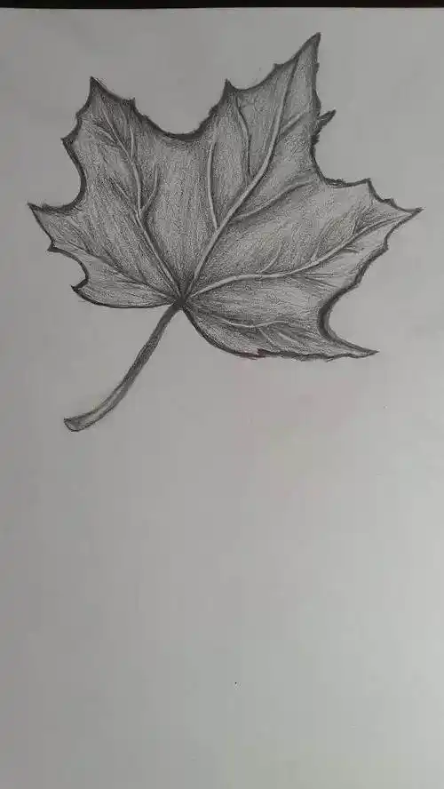 素描图片 素描图片临摹大全