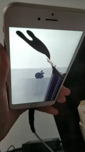 苹果6sp 屏幕着地摔了一下 触摸失灵 漏液 还有竖条 是什么情况?