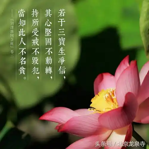 本期导读:整个佛法都是谈修心,修行也就是谈修心.