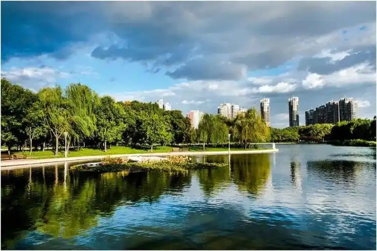 深耕盐滩绿化 天津"绿色禁区"蝶变"生态标杆"_滨海新区