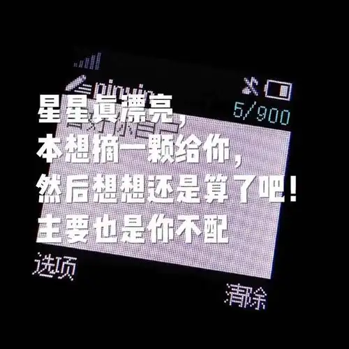 星星真漂亮,本想摘一颗给你,然后想想还是算了吧,主要是你也不配.