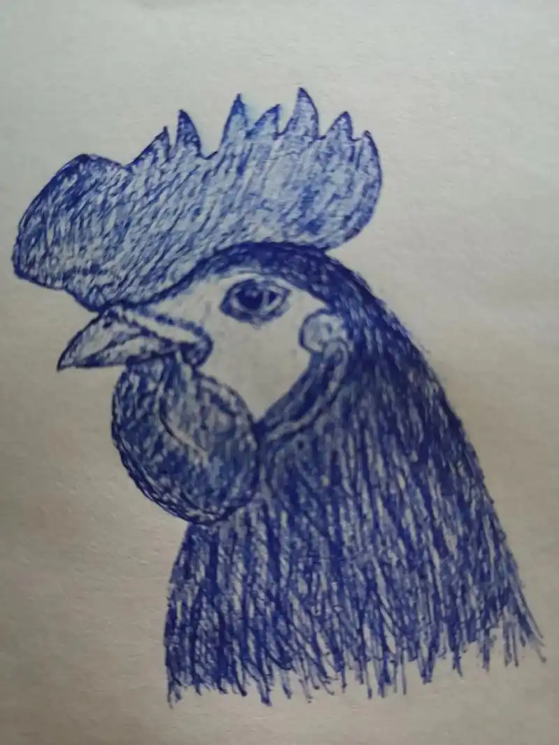 针管笔线条练习画.公94鸡#图文伙伴计划  - 抖音