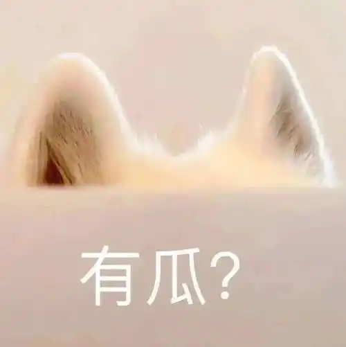 超搞笑沙雕的表情包