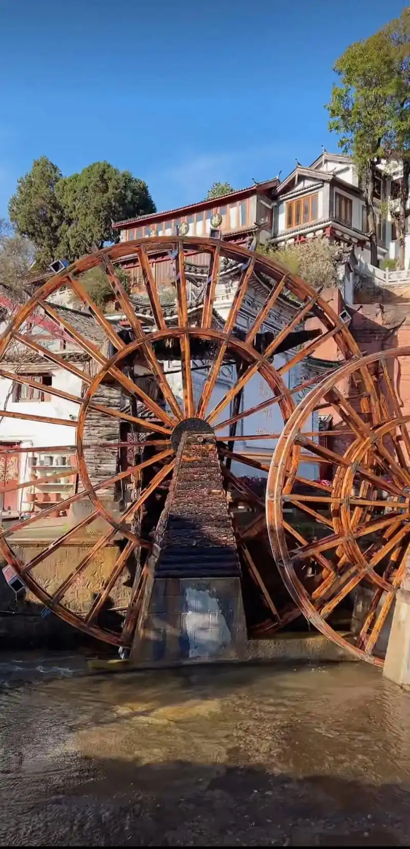 走进丽江古城首先看到的是两座水车,有人说它是 - 抖音