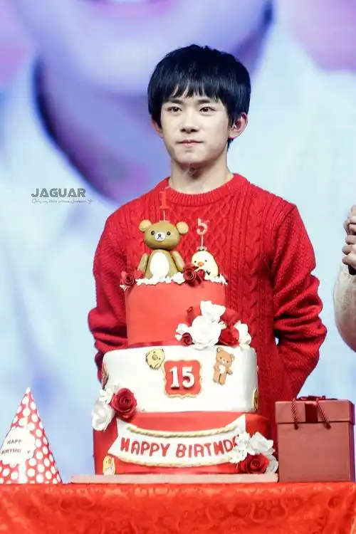 易烊千玺浪漫玫瑰园生日会