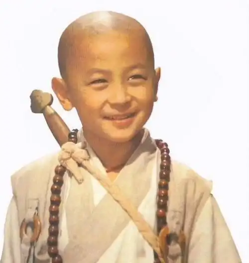 有实力,出道即巅峰,90年代跟当时最红的林志颖合作,陆续又跟金城武